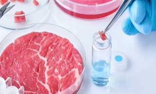 Лабораторный анализ пищевых продуктов по СанПиН в Ярцеве в октябре