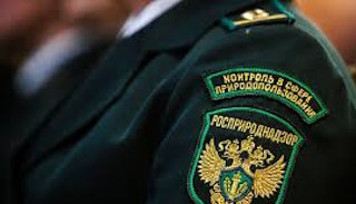 Подготовка к проверке Росприроднадзора в Ярцеве от ПромМир-Рцв, стоимость услуги от 20348 руб.